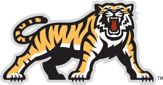 hamilton tiger-cats 2005-2009 secondary logo t shirt iron on transfers...